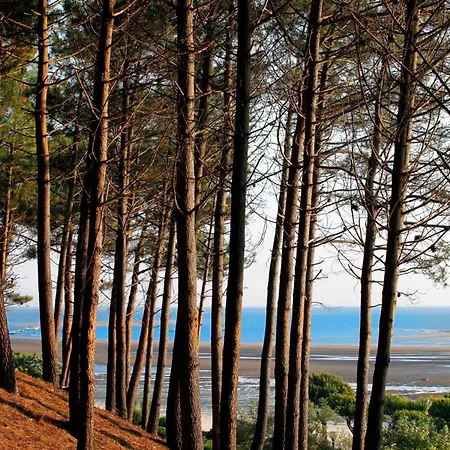 Lumineux T3 Avec Balcons Et Parking - Centre Arcachon, Magellan, Proche & Commerces - Fr-1-420-149 Arcachon